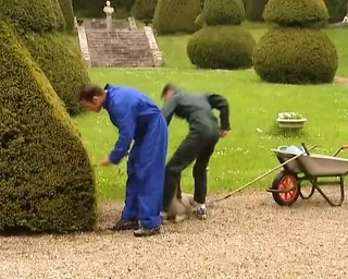 /beam/67a86251cc498f247e869625