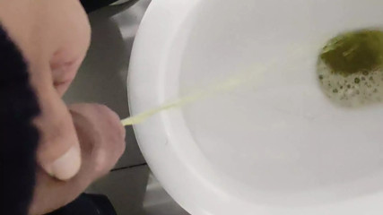 Jerk in Public Hotel Toilette Pissing