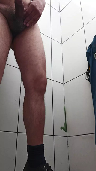 Alberdomonte plays with his stick in a truck driver's bathroom