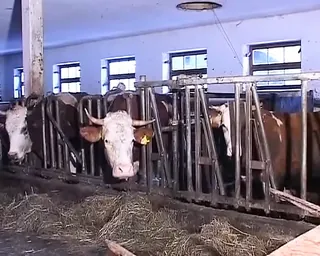 /beam/67a8637dcc498f247e956642