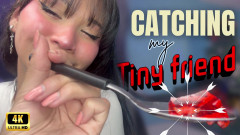 4K Catching My Tiny Friend
