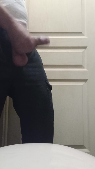 A guy jerks off in the toilet