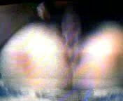 /beam/2718484