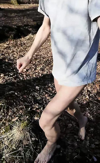 walk in the woods