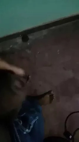 sri lankan gay 1