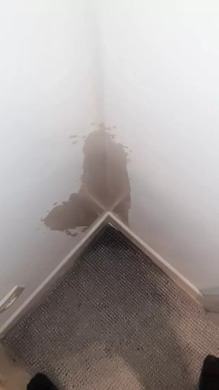 Another piss in the corner