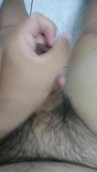 Uncut hairy bear