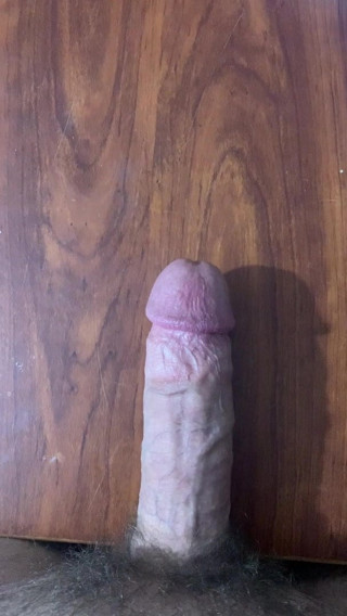 My white cock