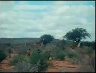 /beam/67a8603bcc498f247e694443