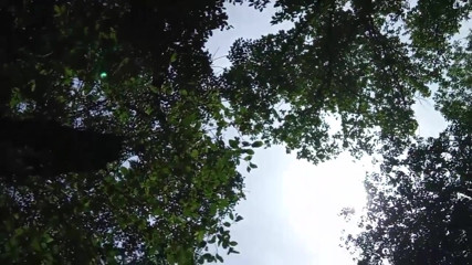 Today Again My Stepbrother Fucked Me