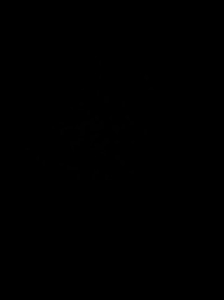 /beam/20553541