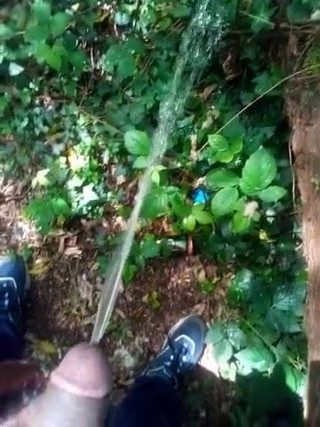 stream of piss