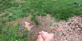 Pervert Pulls Out His Cock, You Won't Believe What Happened Next.