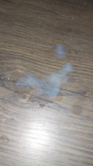 Phone Capture Secret Nighttime Solo Pleasure cum