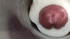 Internal view: vulva twitching and ejaculation 2