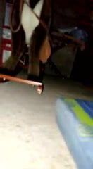 /beam/67a860a1cc498f247e6f8b36