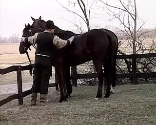 /beam/67a86396cc498f247e96d317