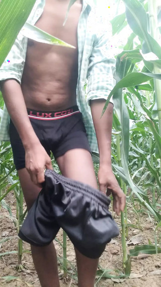 Indian CG ki bhabhi ko makka ki khet me choda
