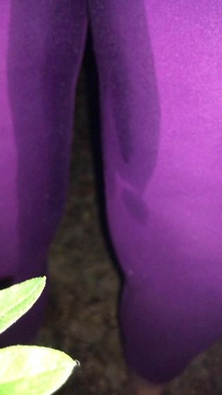 /beam/67a860e5cc498f247e7383e9