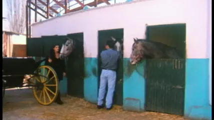 /beam/67a861becc498f247e7f84f6