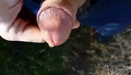 sperma