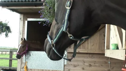 /beam/67a86259cc498f247e87046c