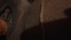 Neighbor likes to fuck me after work