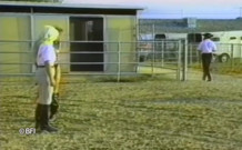 Pet girls training