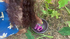 The Desire That Arose When I Went to the Forest to Bring Something to Cook.