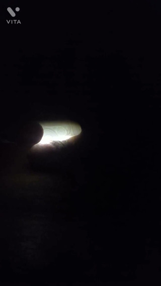 Cummin in the dark