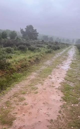 Long naked walk outside