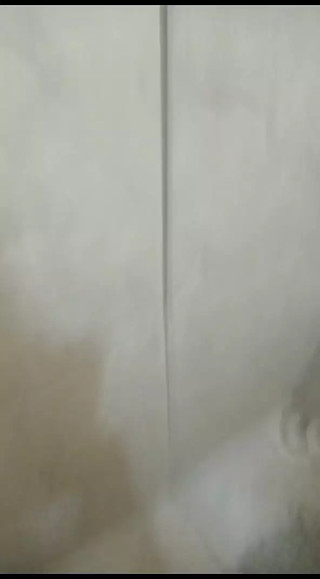 Verific