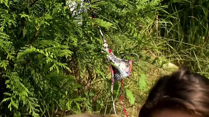 /beam/67a86304cc498f247e8f38f7