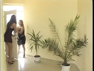 /beam/67a861b5cc498f247e7f272a