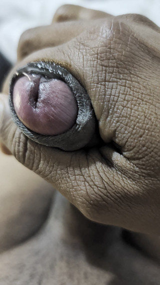 Sri lankan boy masturbation in the room
