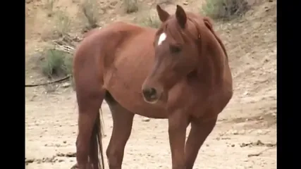 /beam/67a862aecc498f247e8b29e5