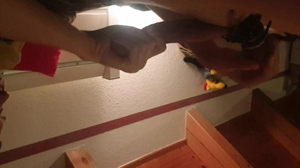 Martin masturbates after Nettleplay and cums