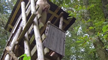 Best of Outdoor Cumshots Compilation