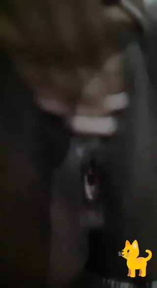 /beam/67a86226cc498f247e8490fe