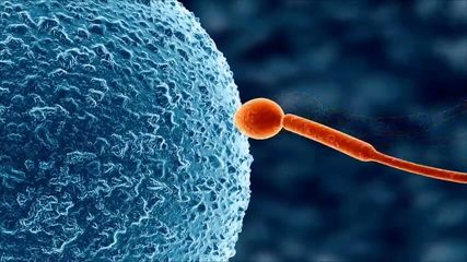 Koumi Jima Shuu 7 De Umeru Mesu-tachi Sex Scenes Demosaic Hentai