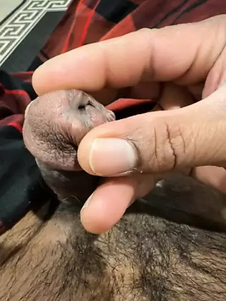 Hand dic play