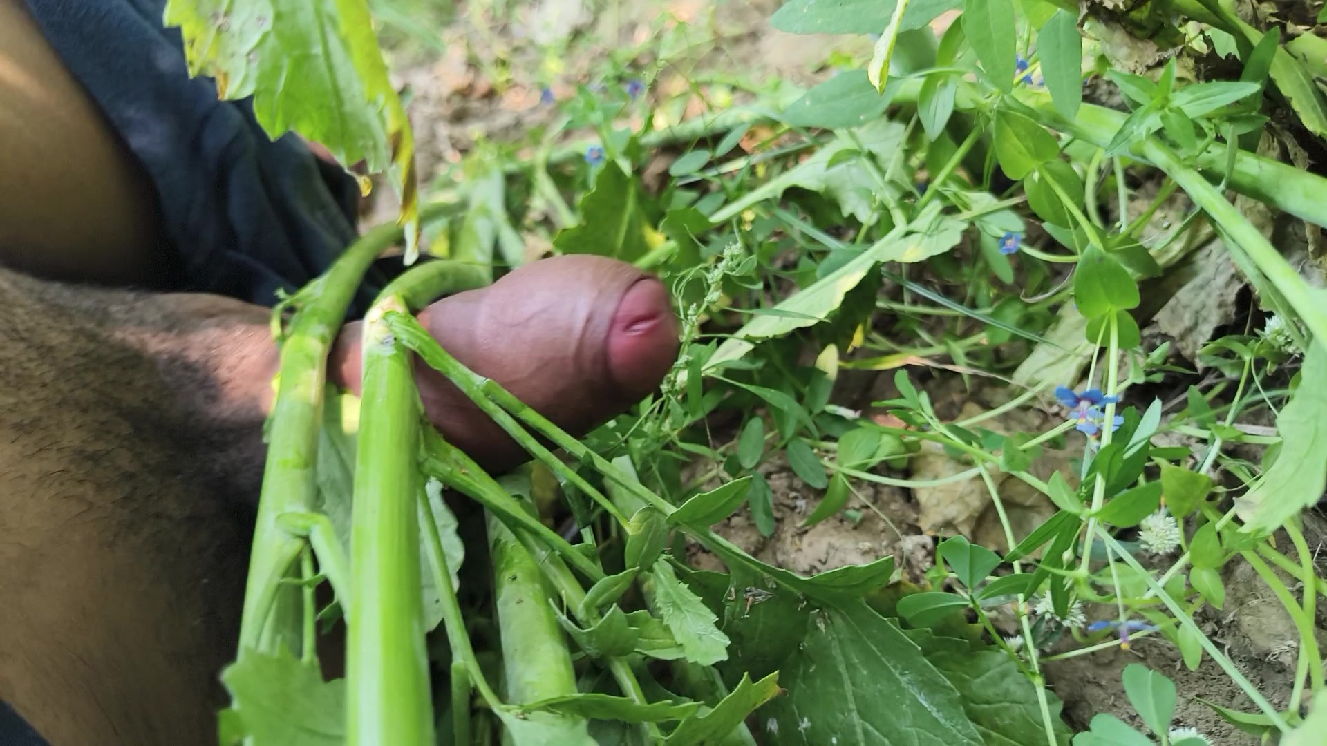 Desi village sarso ke khet me manoranjan