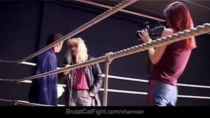 /beam/67a85da3cc498f247e3dce04