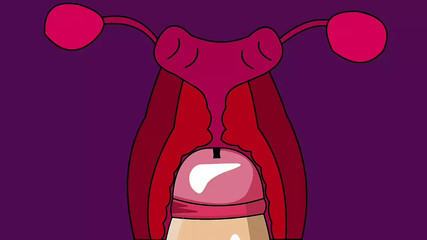 Internal Ejaculation #4 (Hentai Animation)