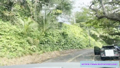 Sfw Road Trip to Hana for Suzy Wylde in Waimoku Falls, Maui