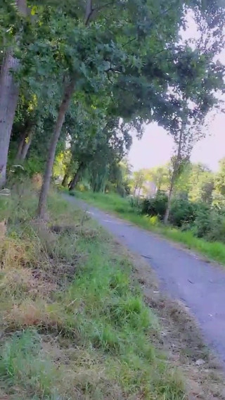 Exhibitionist Queen