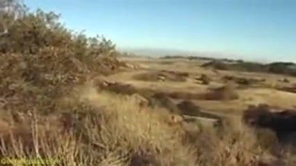 /beam/67a86063cc498f247e6bc70e