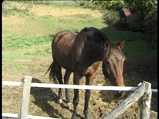 /beam/xhQqucc