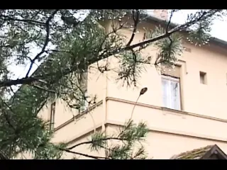 /beam/67a862a0cc498f247e8a76d0