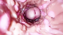 Compilation: cum inside pussy and facial